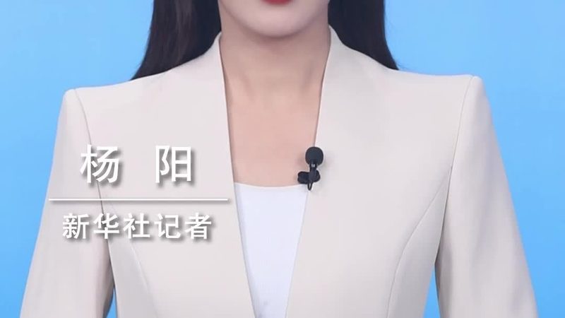 企业数据湖解决方案：如何选择合适的技术路径